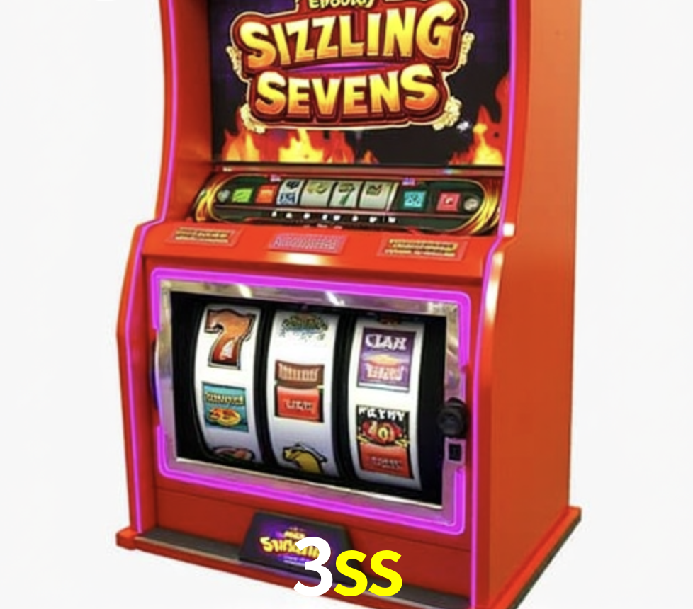 Security Systems 3ss